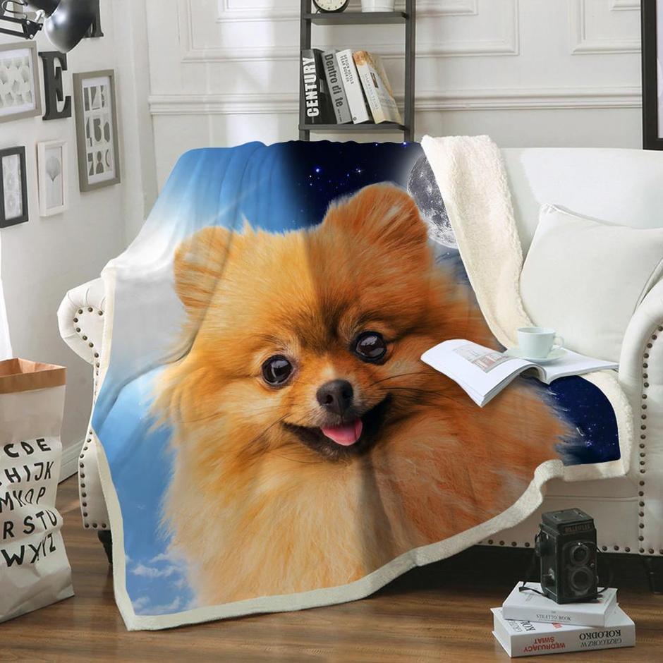 Pomeranian Blanket