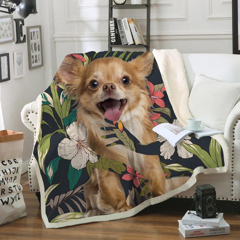 Chihuahua Blanket