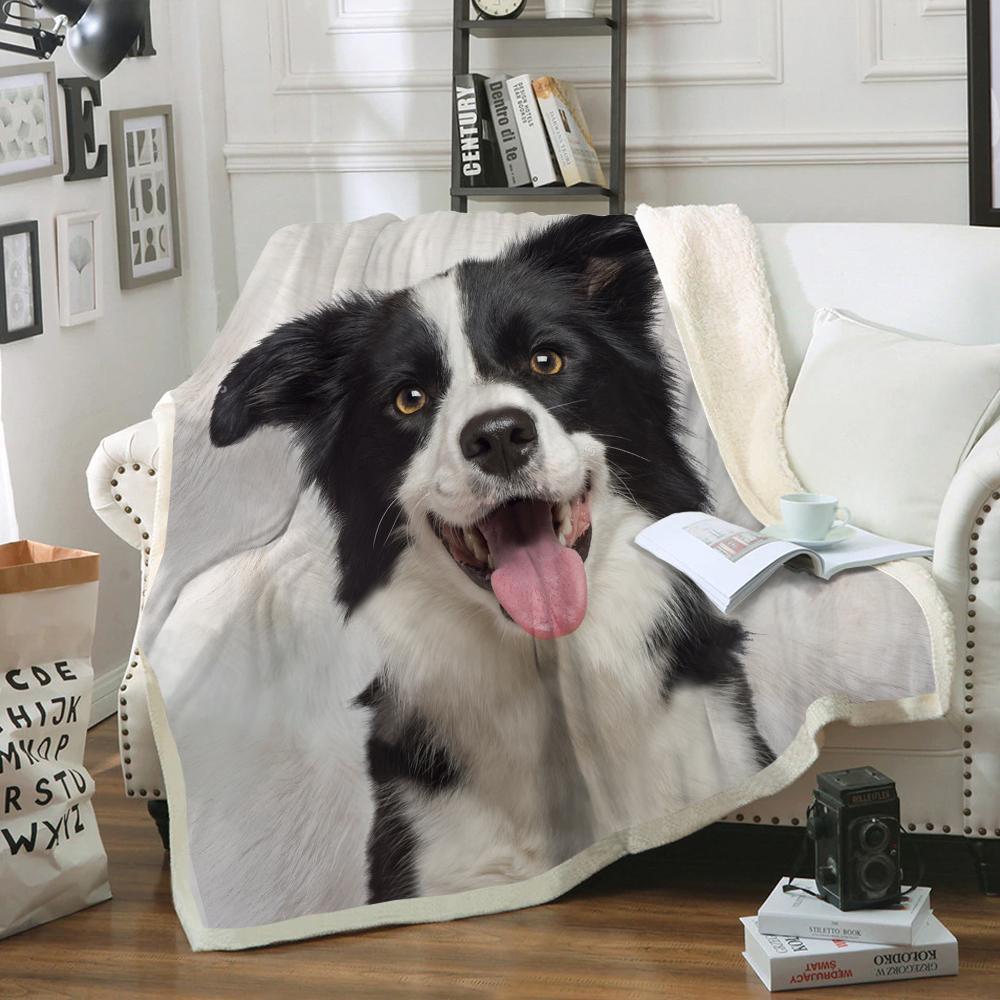 Border Collie Blanket