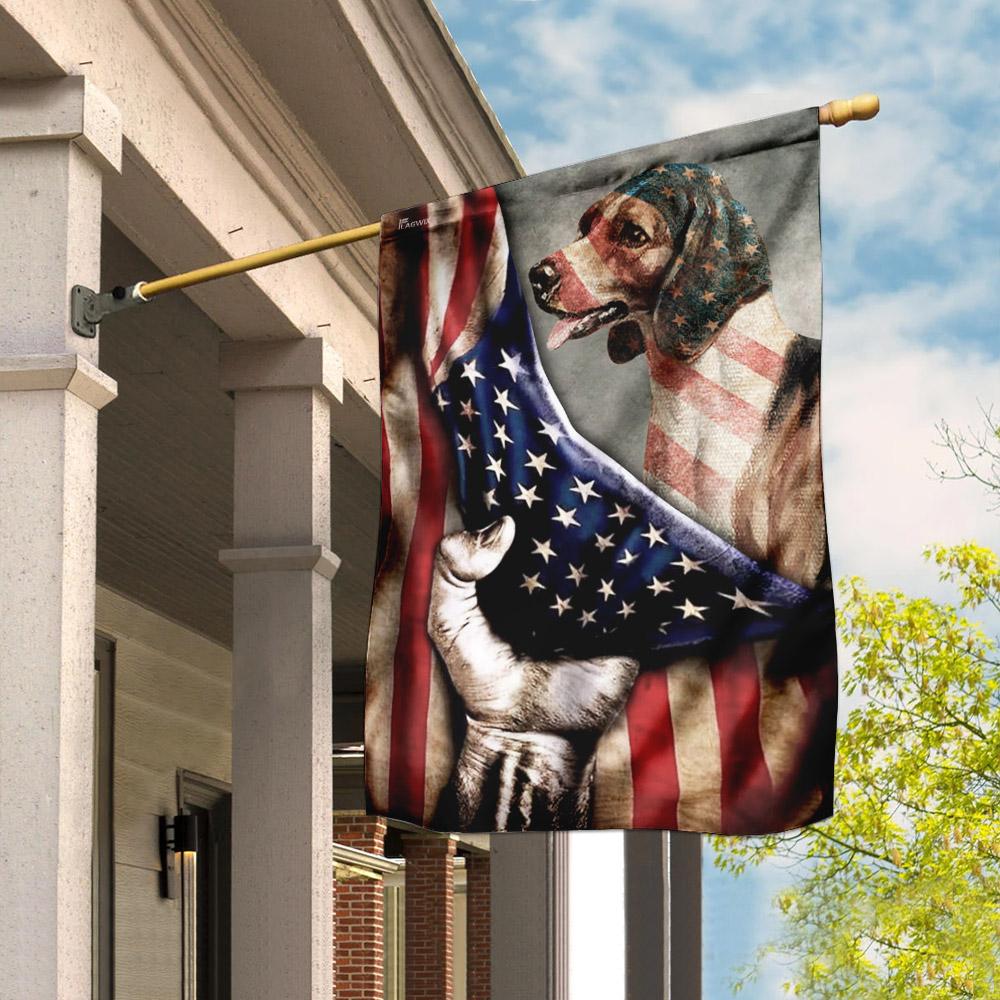Beagle American Us Flag
