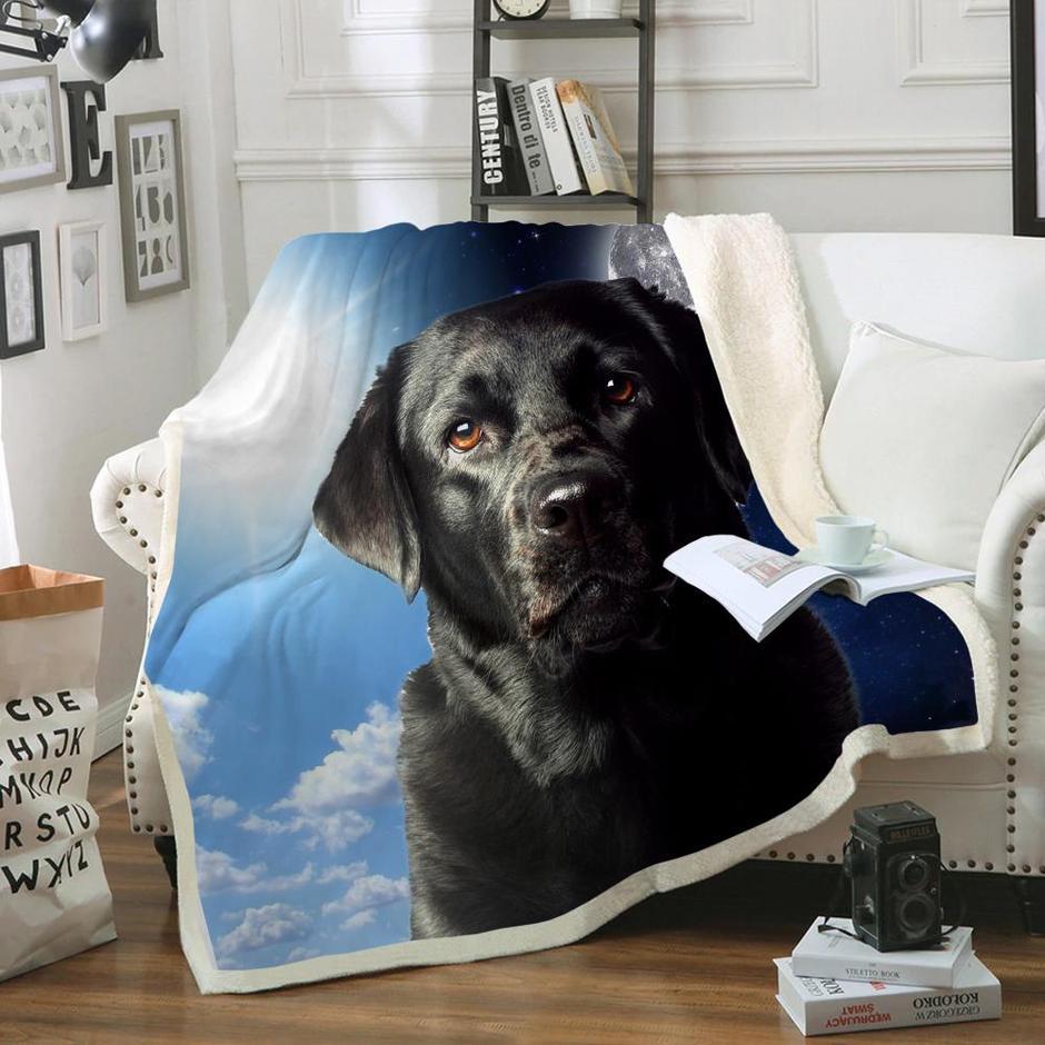 Labrador Blanket