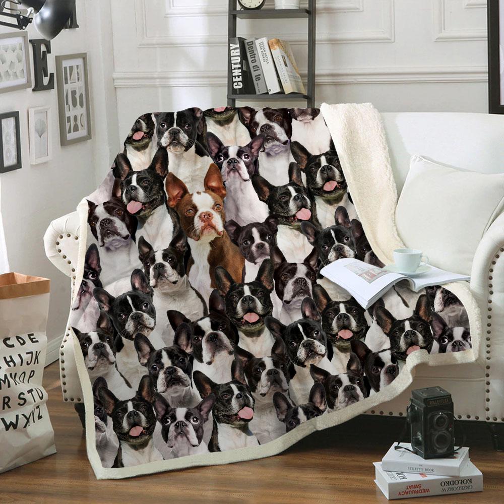 You Will Have A Bunch Of Boston Terriers Blanket