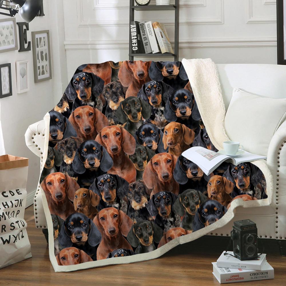 You Will Have A Bunch Of Dachshunds Blanket