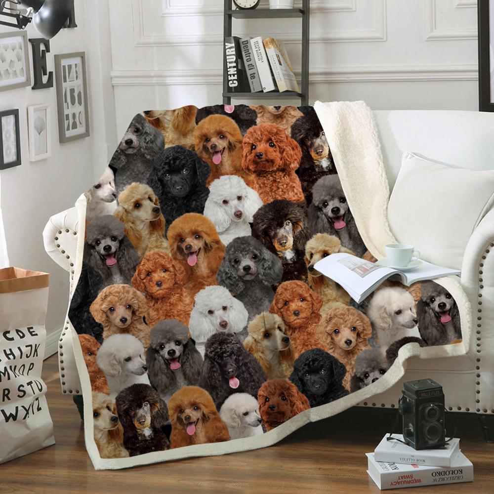 You Will Have A Bunch Of Poodles Blanket