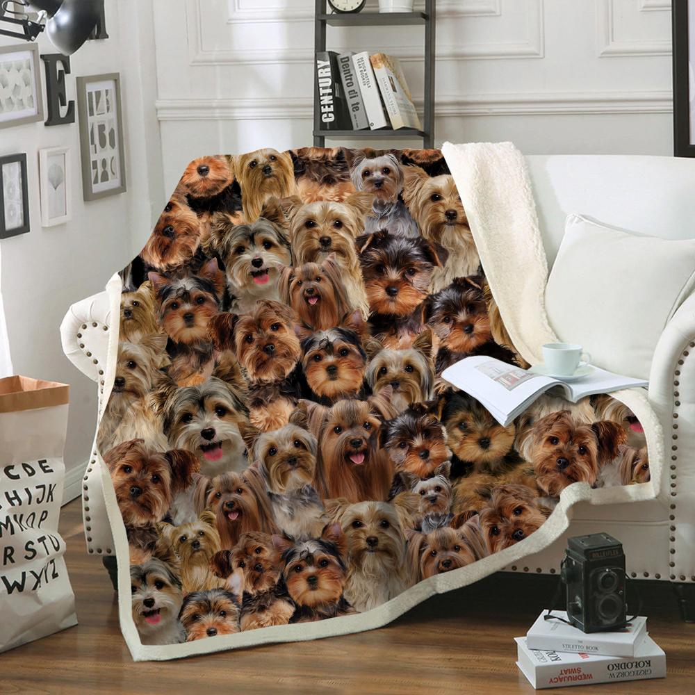 You Will Have A Bunch Of Yorkshire Terriers Blanket