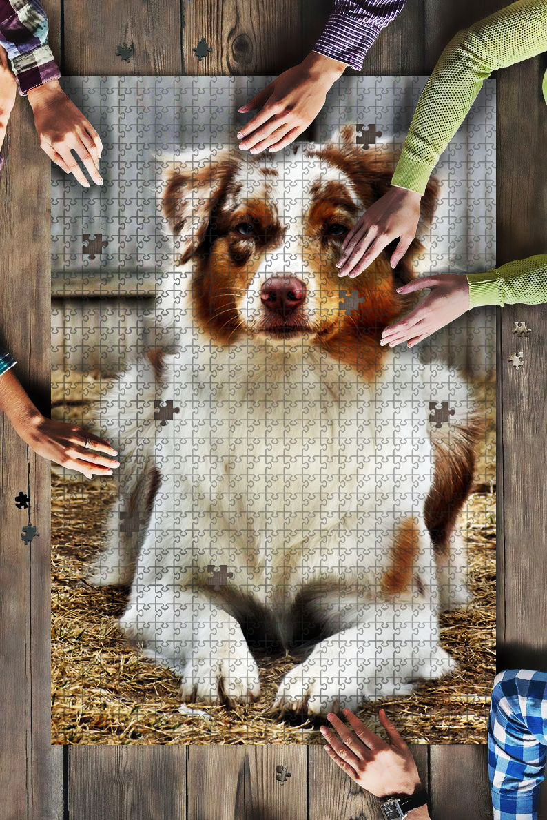 Australian Shepherd Aussie Dog Cute Jigsaw Puzzle
