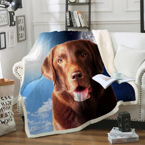 Labrador Blanket