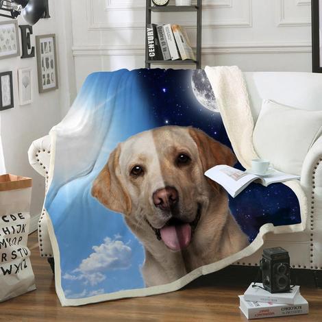 Labrador Blanket